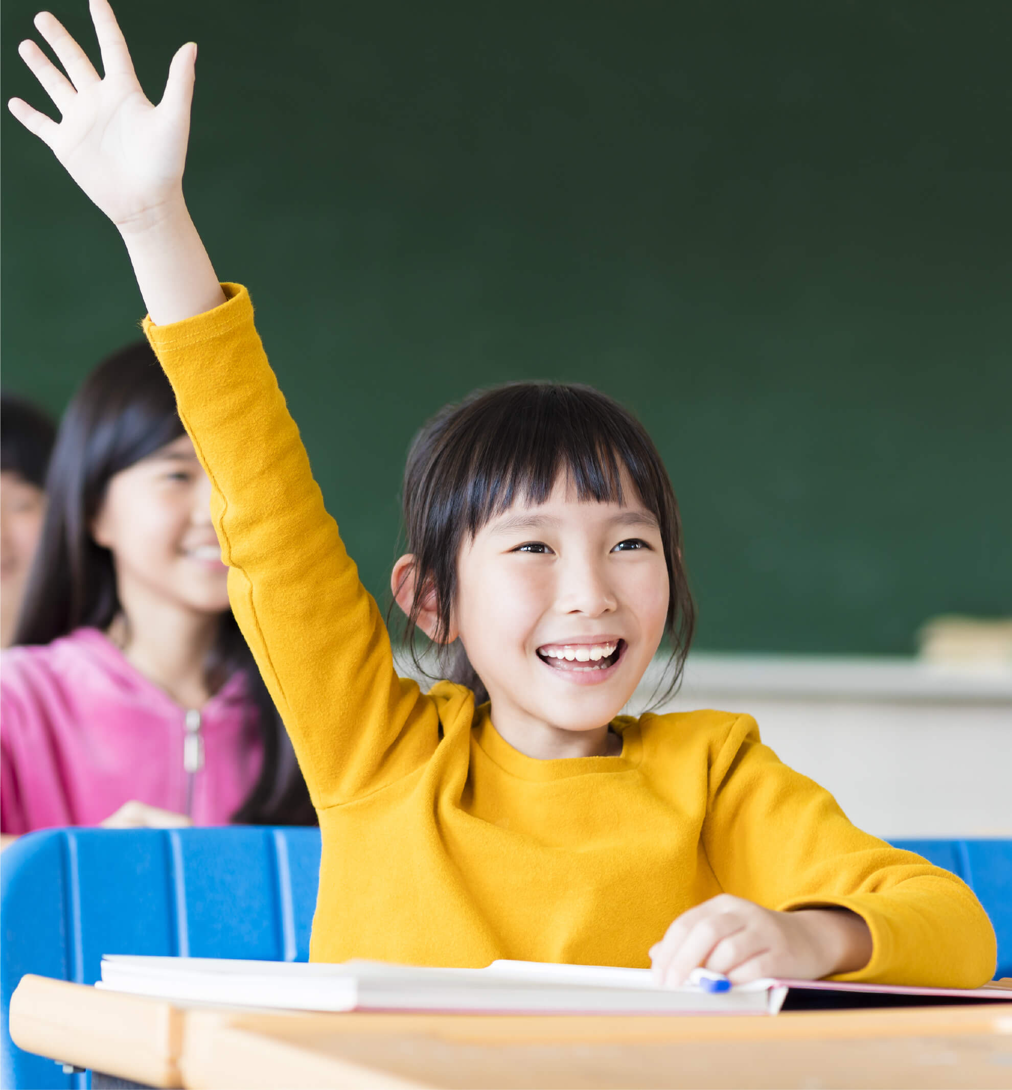 Categories of IB Tuition which MindFlex Offers