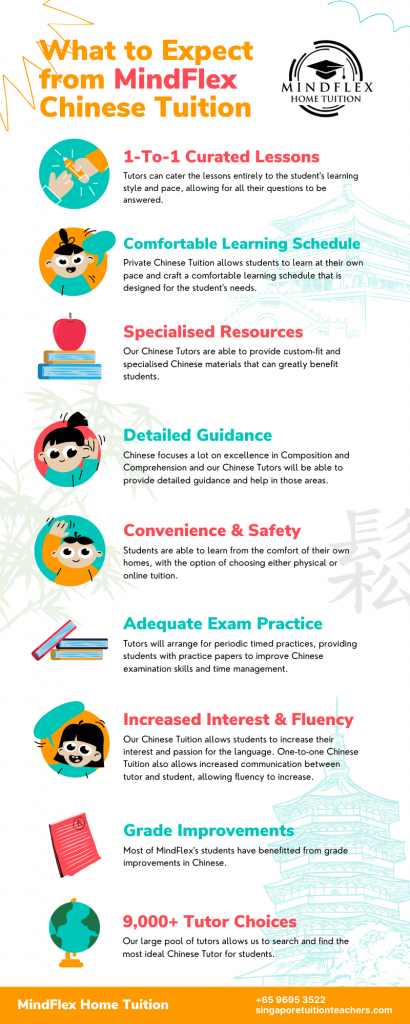 Infographic on What To Expect From MindFlex Chinese Tutors