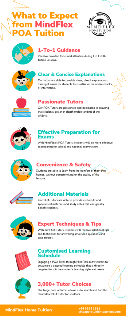 Infographic on What To Expect From MindFlex POA Tutors