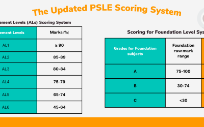 PSLE Singapore – The Complete Guide to PSLE in Singapore