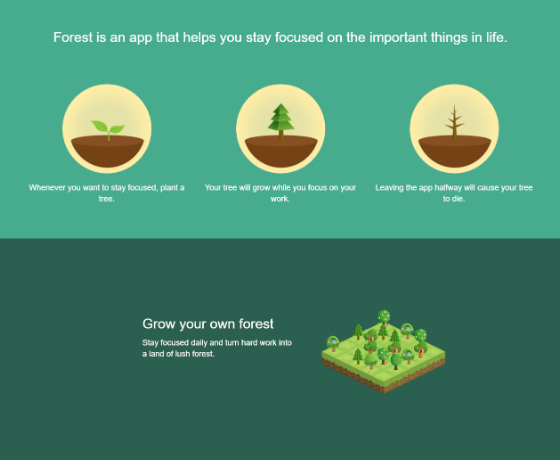 IB Resource - Forest App