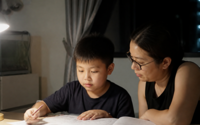 How Higher Chinese Helps In PSLE And School Posting