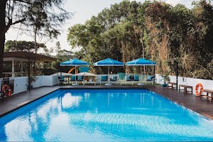 SWISH Swimming place picture