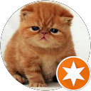 Pepamint Lee profile picture