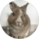 schuen tan profile picture