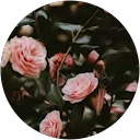 Gnana Harini profile picture