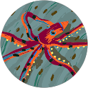 willemyn hooven profile picture