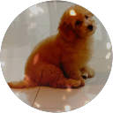 JiaLei Zhao profile picture