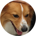 Ho Jaedon profile picture