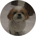 HuiErh Tay profile picture