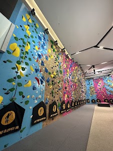 BFF Climb Bendemeer place picture