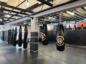 Lionheart MMA Singapore place picture