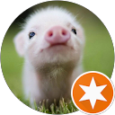 Bin Zhang profile picture
