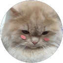 PEI XING TIFFANY TEO profile picture