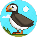 CD profile picture