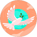 Lin Meng profile picture