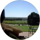 Yvonne Ban profile picture