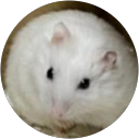 Jerica profile picture