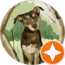 Meng profile picture