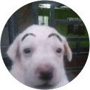 li- profile picture
