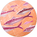 NP profile picture