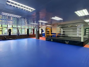 NEW ERA MMA SG place picture