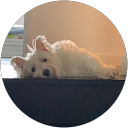 isaac_lcy profile picture