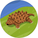 Ian profile picture