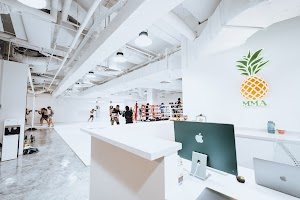Pineapple Muay Thai & MMA place picture