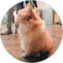 lily profile picture