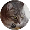 Melvin Loh profile picture