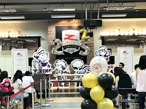 Z Fencing place picture