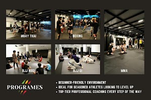 Tricolor MMA place picture