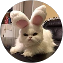 Li Thin Khaw profile picture