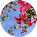 Jell Tsao profile picture