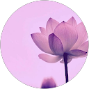 Veronn chua profile picture