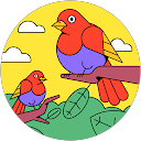 Mohammad Asraf profile picture
