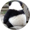 Deyang Ren profile picture