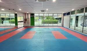 The Karate Academy place picture