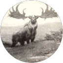 Brian Sham profile picture