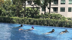 Penguin Swim School place picture