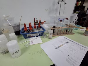 Singapore Learner place picture