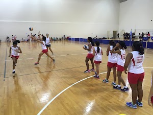 Singapore Netball Academy place picture