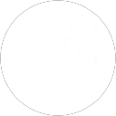 Dominic Lim profile picture