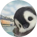 Lehan Wang profile picture