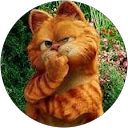 Khanh Tran profile picture