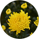 LM Lock profile picture