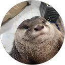 piegon profile picture