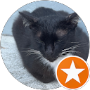 Chomel Lim profile picture