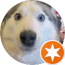 Jonathan is a good boy profile picture